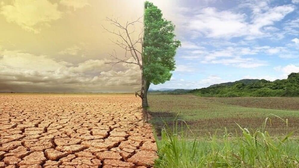 Contrast between barren desert and lush crop in the same frame.