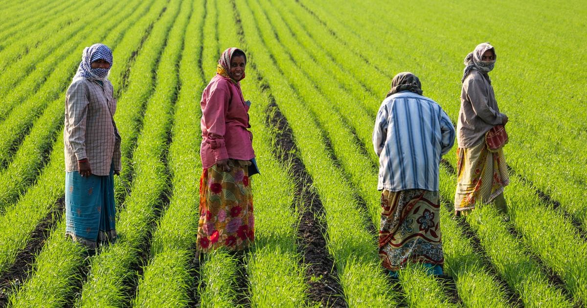 Modi Urges Farmers to Target Exports, Backs Pulses Self-Reliance