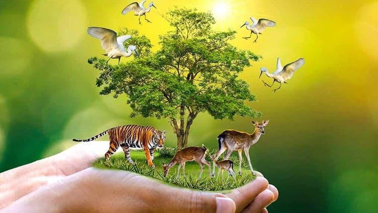 WTI report highlights India’s frontline forest protectors