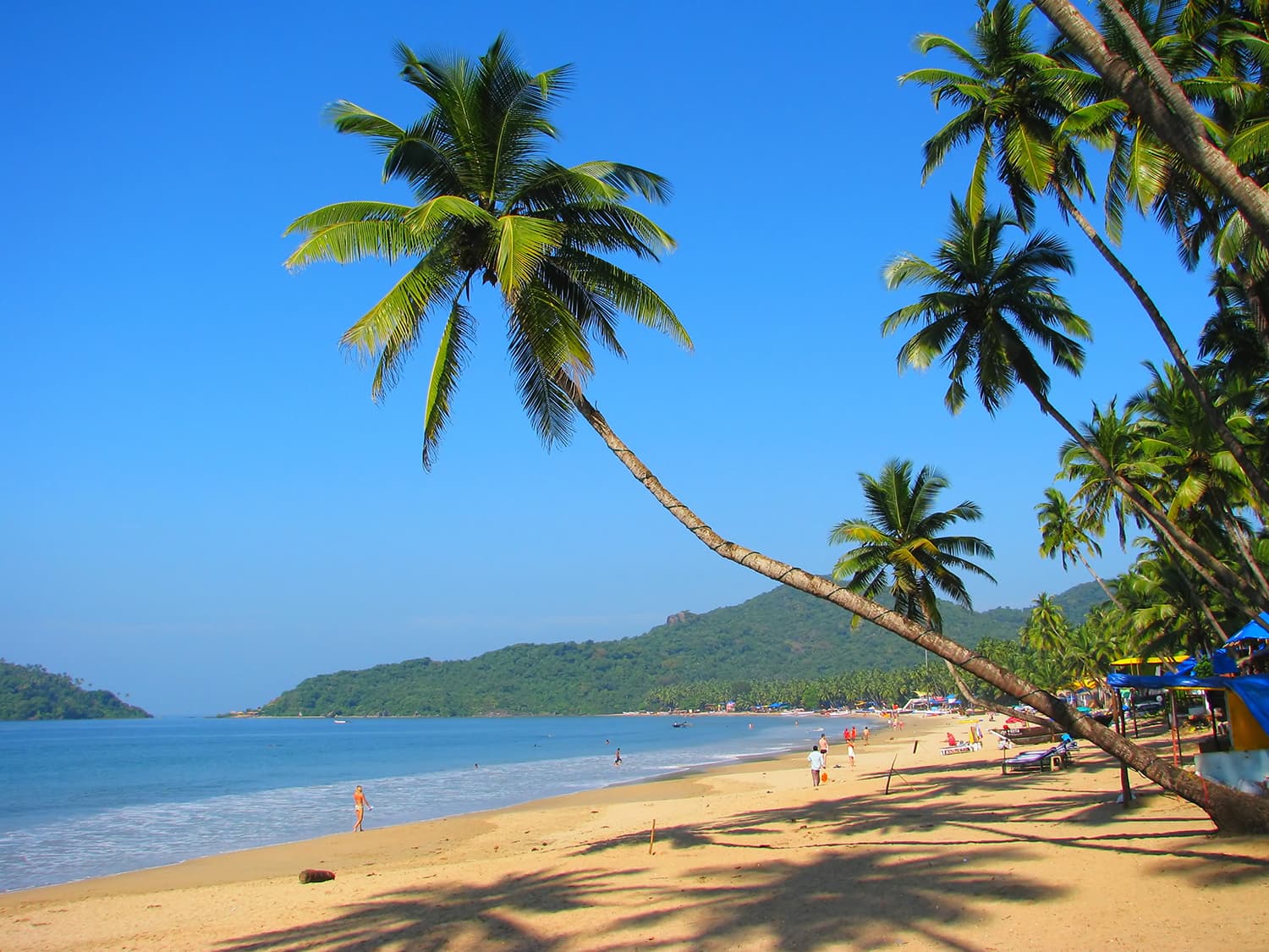 Microplastics threaten Goa’s estuarine fisheries—and you
