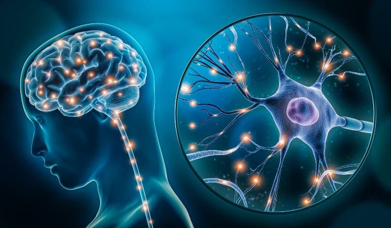 Brain–Computer Interface (BCI) uses and risks