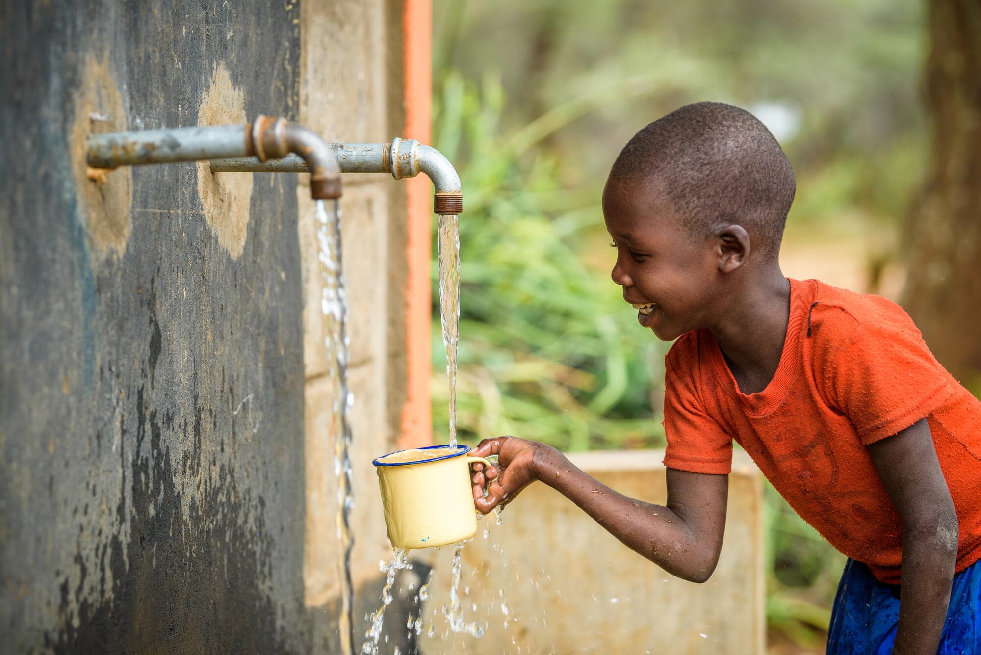 Odisha experiment willingness to pay for water