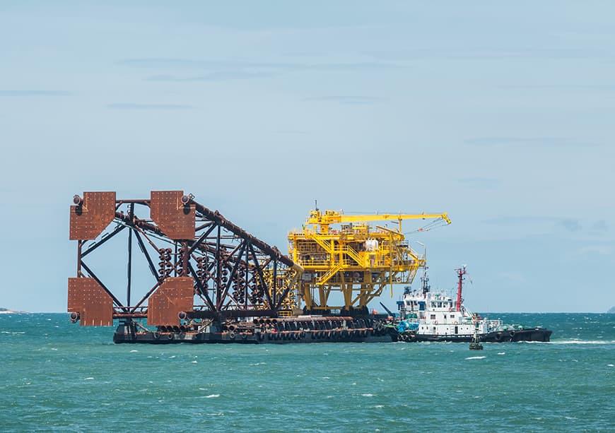 Protected Marine Areas ‘Kept Out’ of Offshore Mining Blocks, Says Government