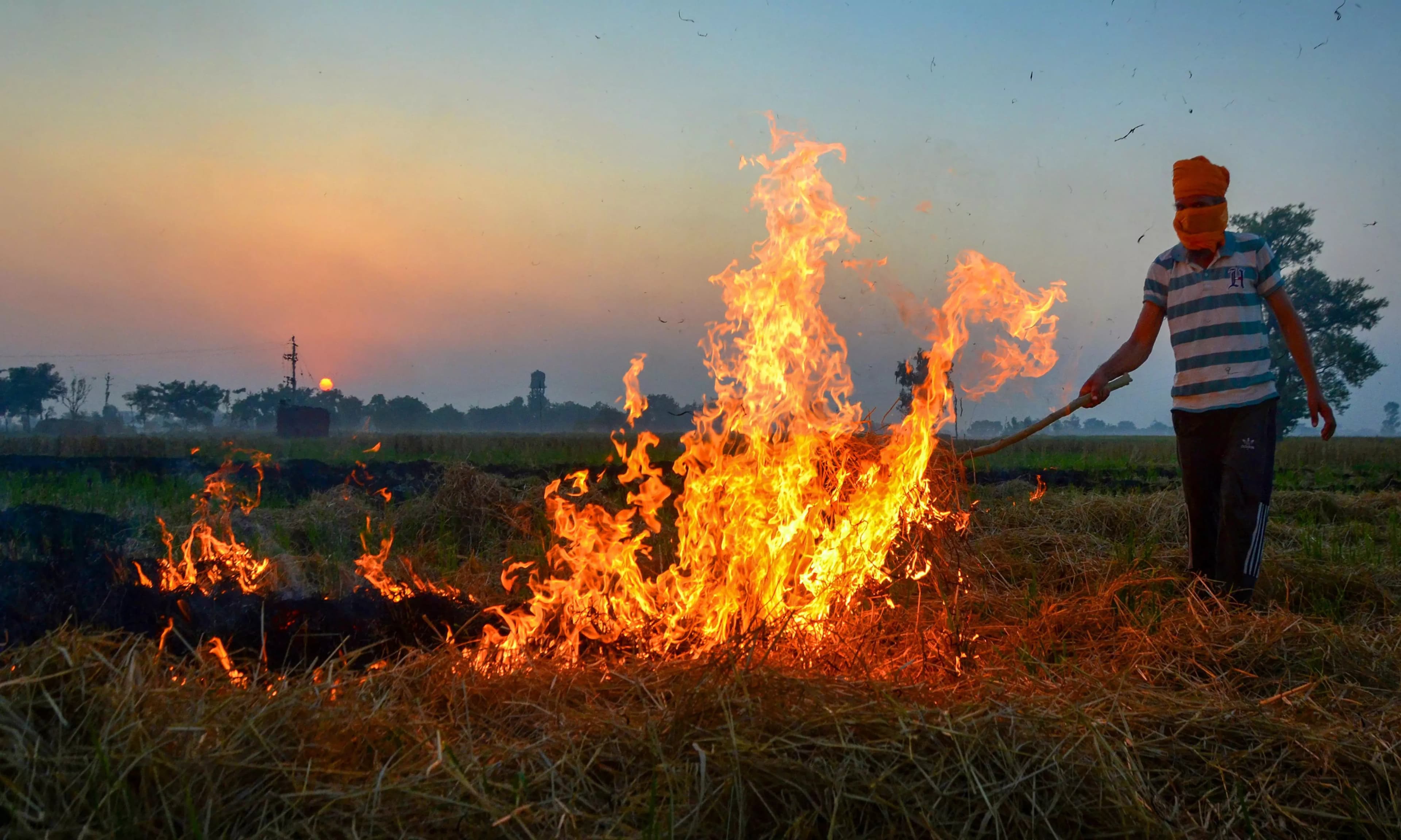 An Anomaly in Stubble-Burning Data: Why Burnt-Area Estimates Must Be Public