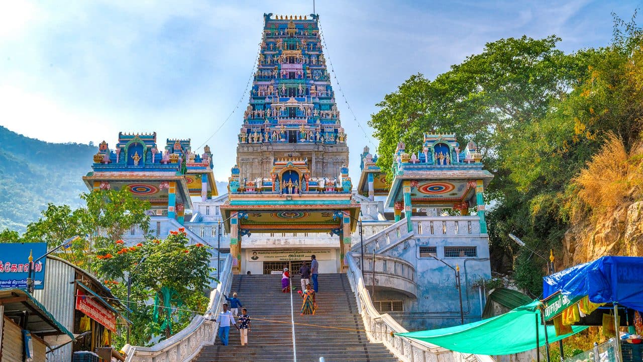 Tamil Nadu fastest growing state 2024-25